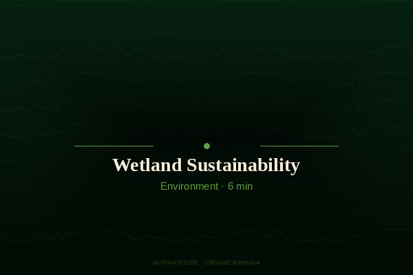 How Makhana Farming Supports India's Wetland Ecosystems